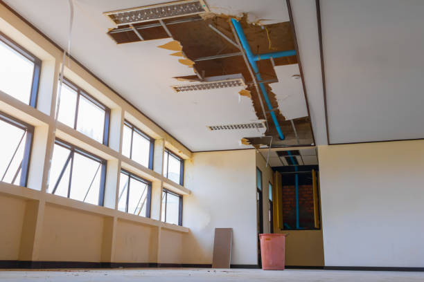 Best Local water damage restoration  in Ellaville, GA