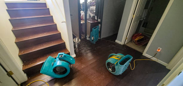 Trusted Ellaville, GA Water damage restoration Experts