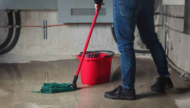 Best Ceiling water damage repair  in Ellaville, GA