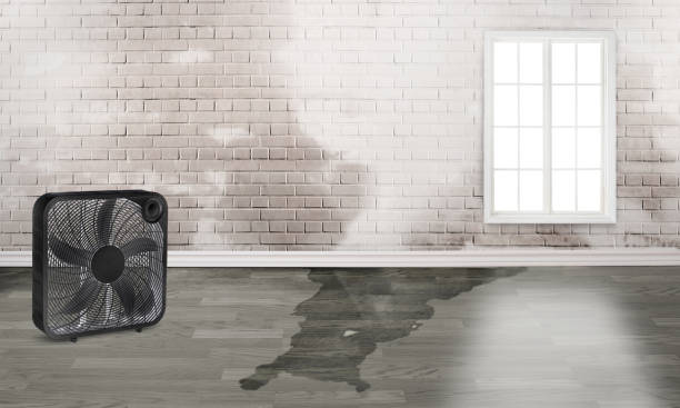 Best Water damage restoration specialists  in Ellaville, GA