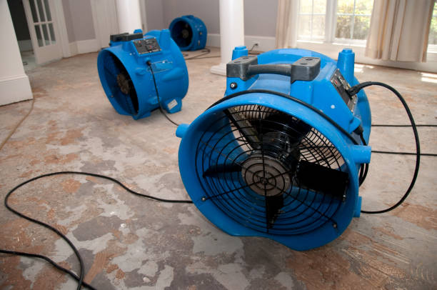 Water damage restoration process in Ellaville, GA