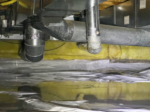 Best Flood restoration services  in Ellaville, GA
