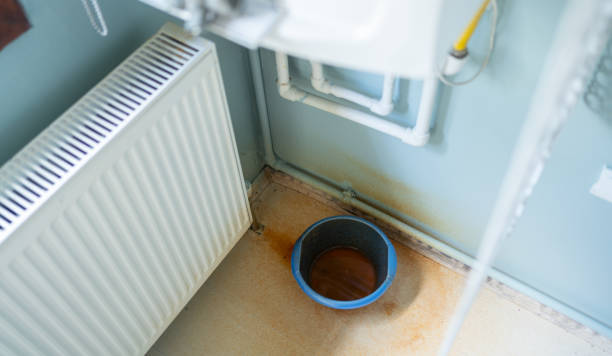 Best Water damage cleanup near me  in Ellaville, GA