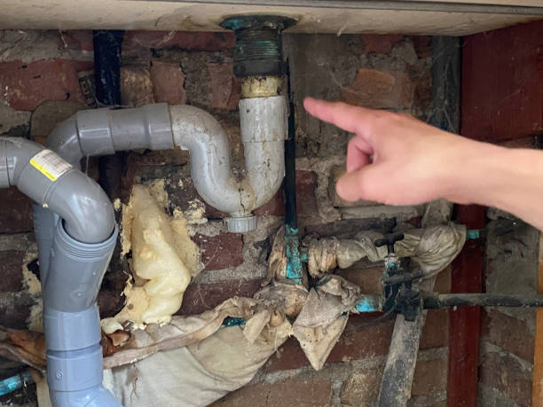 Best Water damage restoration company  in Ellaville, GA